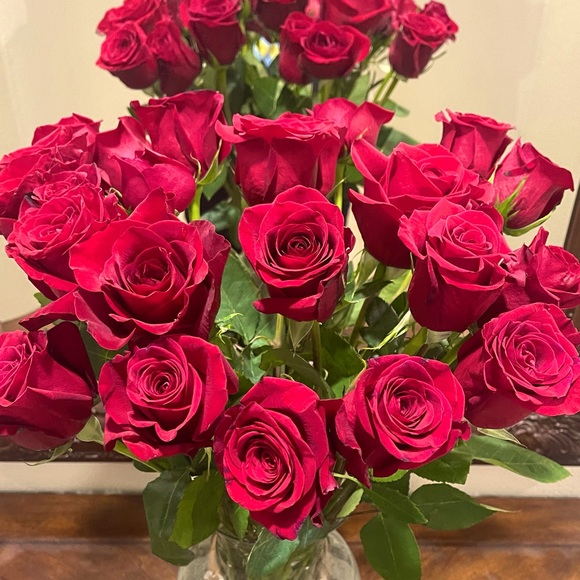 Meet your Posher, Graciela - Picture 1 of 6